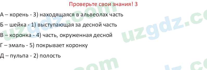 Биология Maвлянов О. 8 класс 2019 Вопрос 31