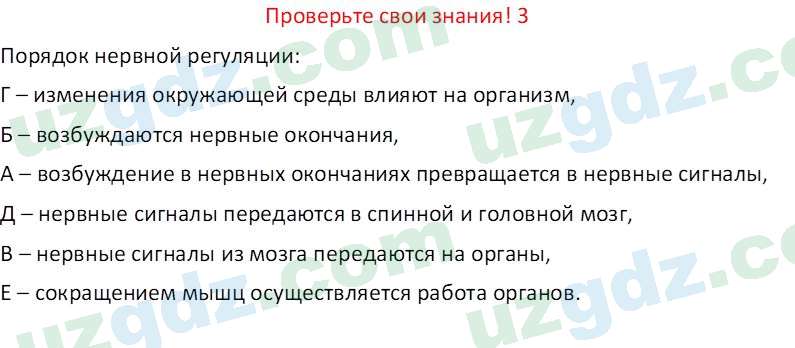 Биология Maвлянов О. 8 класс 2019 Вопрос 31