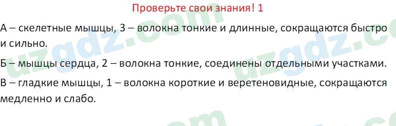 Биология Maвлянов О. 8 класс 2019 Вопрос 11