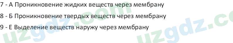 Биология Зикиряев А. 9 класс 2019 Вопрос 41