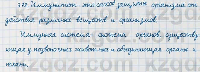 Русский язык Сабитова 7 класс 2018 Упражнение 378