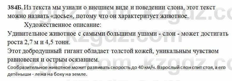 Русский язык Сабитова 6 класс 2018 Упражнение 384Б