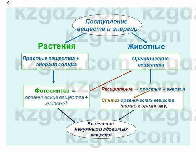 Биология Очкур 7 класс 2018 Задание 19.4