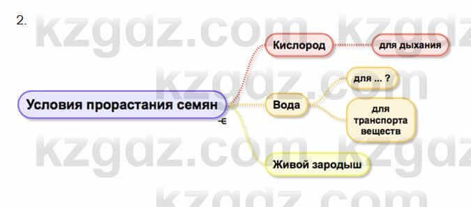 Биология Очкур 7 класс 2018 Задание 60.2