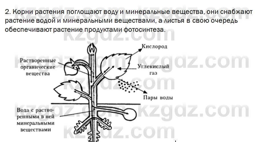 Биология Очкур 7 класс 2018 Задание 20.2