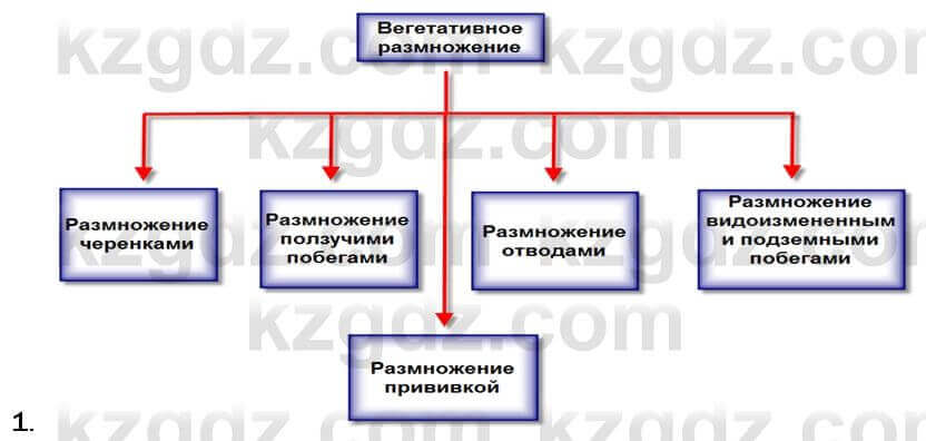 Биология Соловьева 7 класс 2017 Анализ 53.1