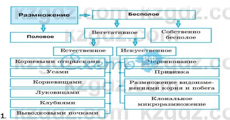 Биология Соловьева 7 класс 2017 Анализ 52.1