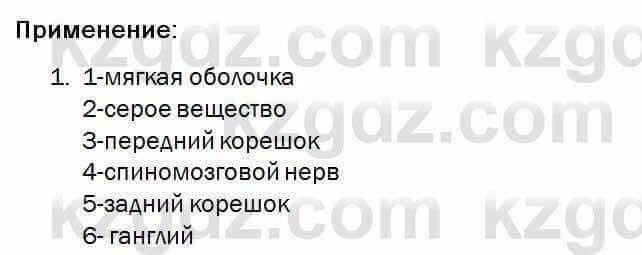 Биология Соловьева 7 класс 2017 Практическая работа 37.1