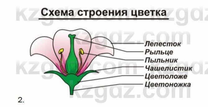 Биология Соловьева 7 класс 2017 Практическая работа 58.2